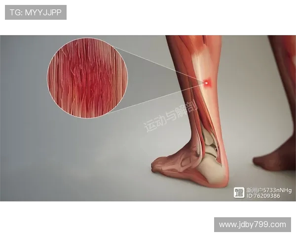 运动员职业生涯长度影响因素论